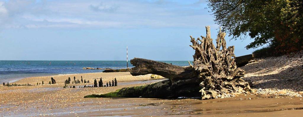 The Crab And Lobster Inn Bembridge Luaran gambar