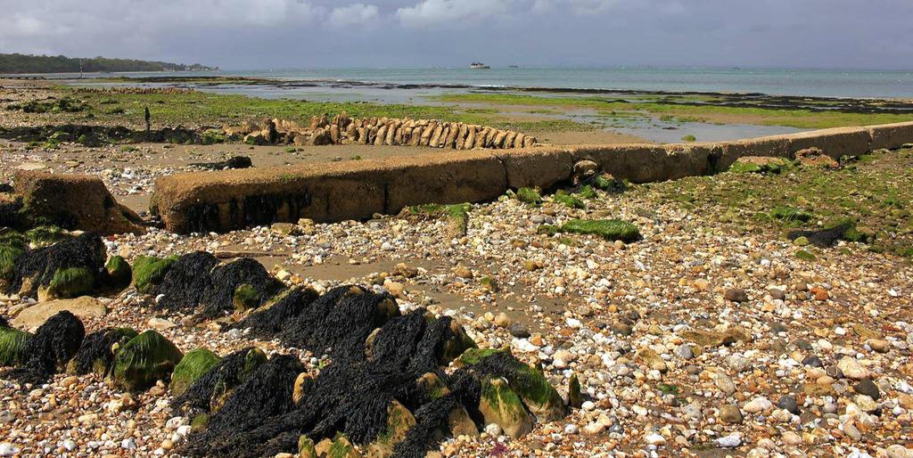 The Crab And Lobster Inn Bembridge Luaran gambar